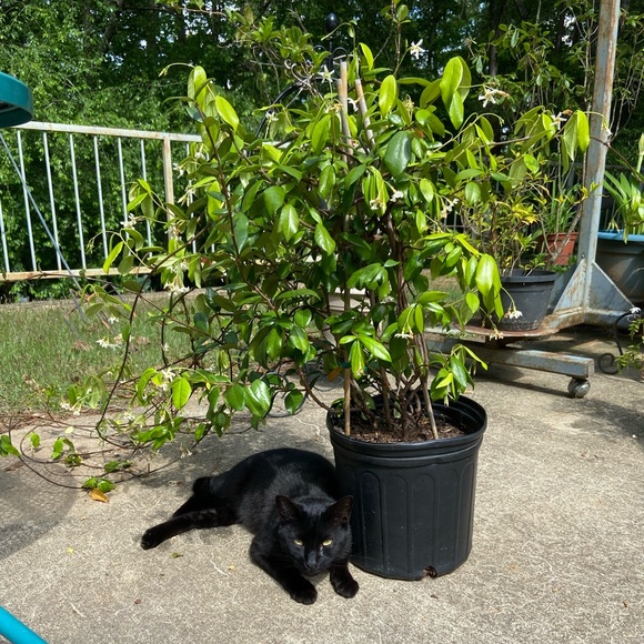 Meet your Posher, Marian - Picture 7 of 11